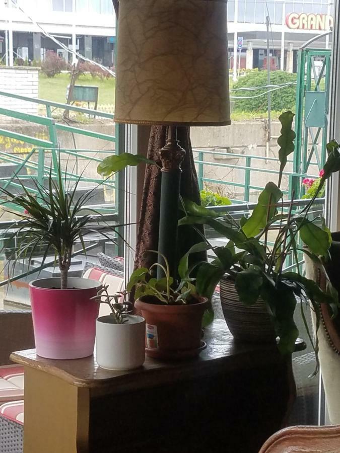 Hostel Otard Belgrado Esterno foto
